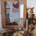 #Repost @aoco
<br>
長府のユニクロをふらっと訪れたら、猫庭さんのコラボTシャツがあったので買っちゃいました。<br>
全然知らなかったのですが、偶然昨日から発売しているみたいで、売上の一部が猫庭の運営に充当される仕組みとのことなので、微力ながら応援!<br>
てしま旅館の猫庭は、とってもかわいい館長さんが頑張っている保護猫シェルターです。<br>
その想いはここには書ききれないな、是非検索してみてください。<br>
山口を訪れる猫好きさん、是非てしま旅館、オススメです!