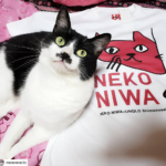 #Repost @meeeeeee31
<br>
猫庭Tシャツ届いた〰️☺️<br>
てしま旅館の保護猫の為の猫庭<br>
売上の一部が保護猫ちゃんのごはんや、おもちゃに(*^^*)
微力ですが購入<br>
<br>
猫庭の館長さんは、小学生🎒<br>
⤴️⤴️すごい<br>
<br>
これからも、猫ちゃん達の幸せのために頑張ってほしいデス💞